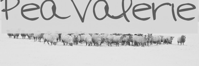 Pea Valerie Font examples
