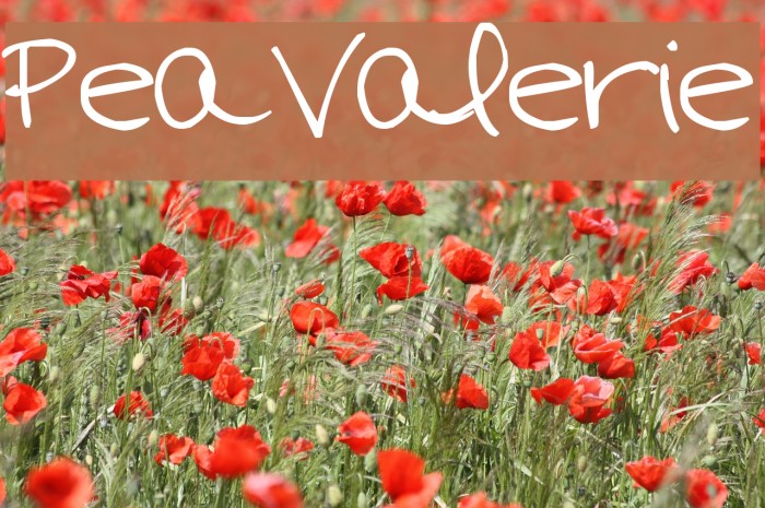Pea Valerie Font examples