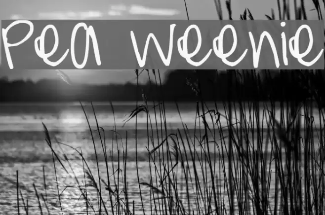 Pea Weenie Font examples