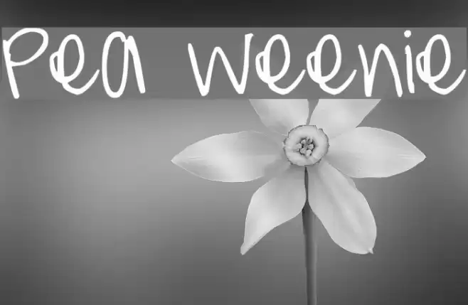 Pea Weenie Font examples