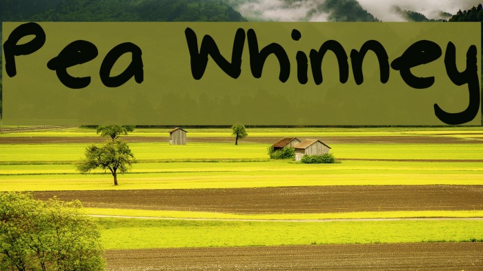 Pea Whinney Font examples