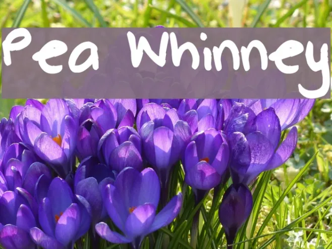 Pea Whinney Example 2