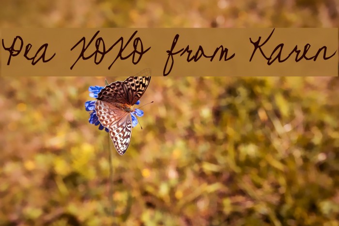 Pea XOXO from Karen Font examples