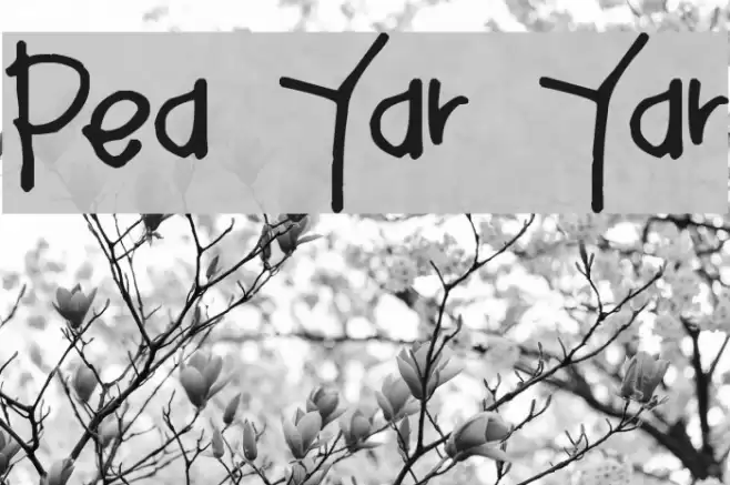 Pea Yar Yar Font examples