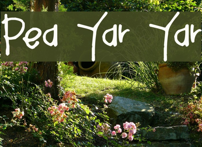 Pea Yar Yar Example 2