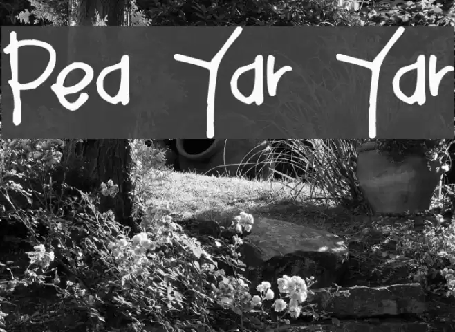 Pea Yar Yar Font examples