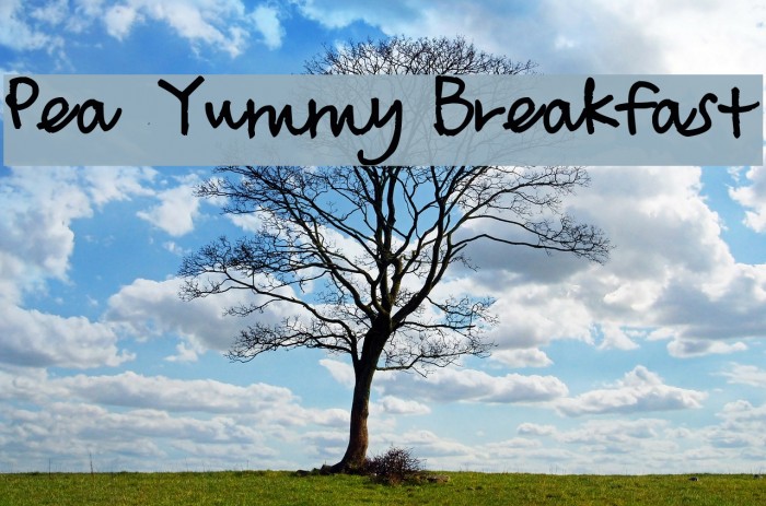 Pea Yummy Breakfast Fonte examples