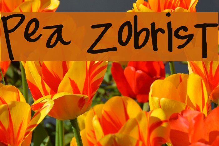 Pea Zobrist Font examples