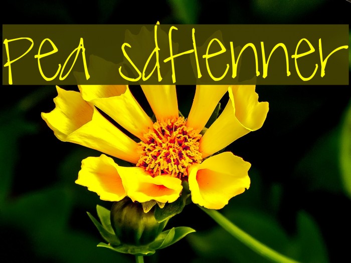 Pea sdflenner फ़ॉन्ट examples