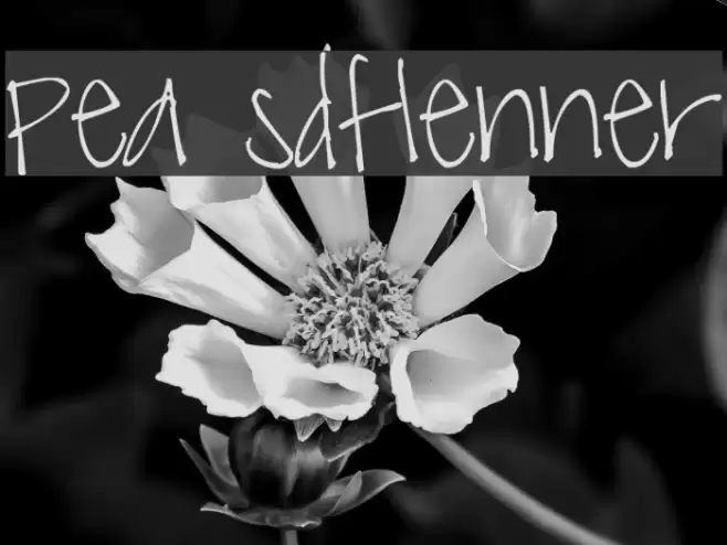 Pea sdflenner फ़ॉन्ट examples