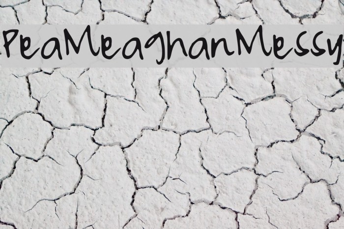 PeaMeaghanMessy Example 2