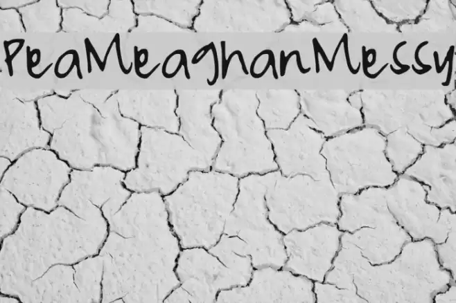 PeaMeaghanMessy Font examples