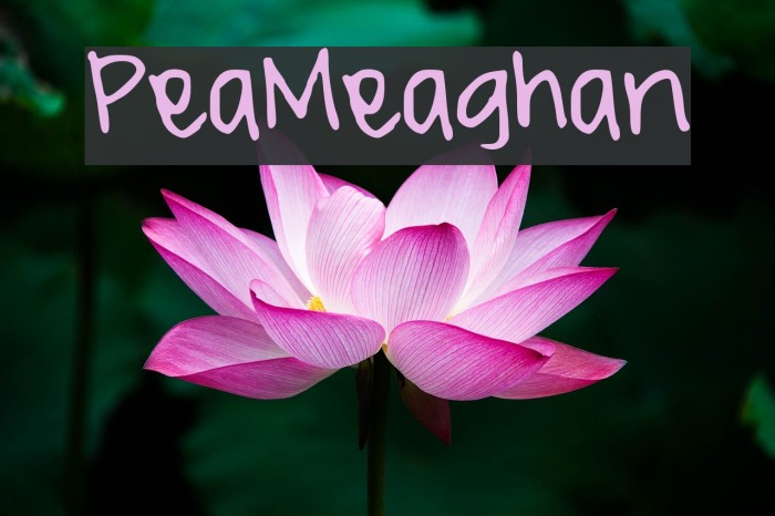 PeaMeaghan Example 2