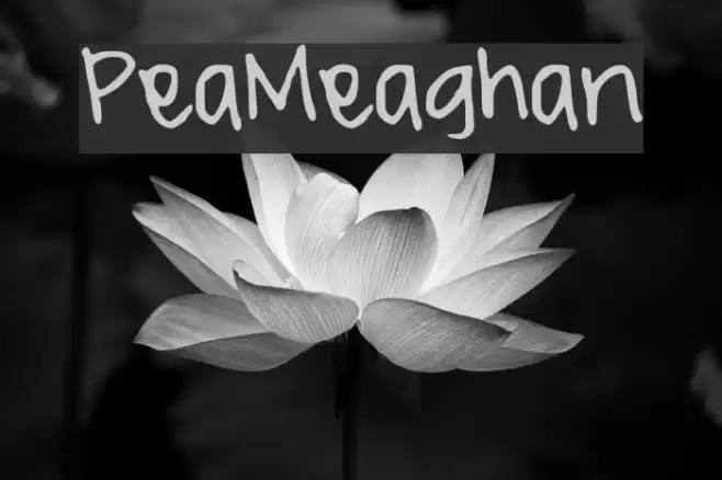 PeaMeaghan Font examples