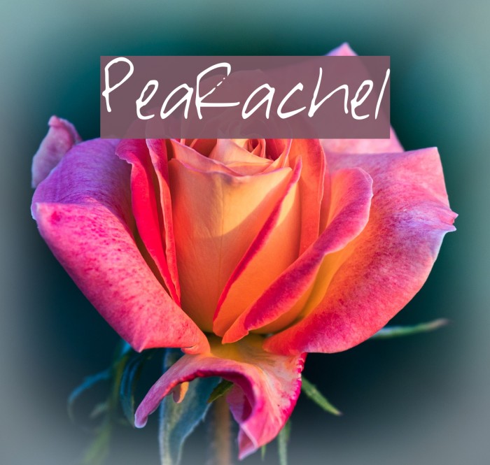 PeaRachel Font examples