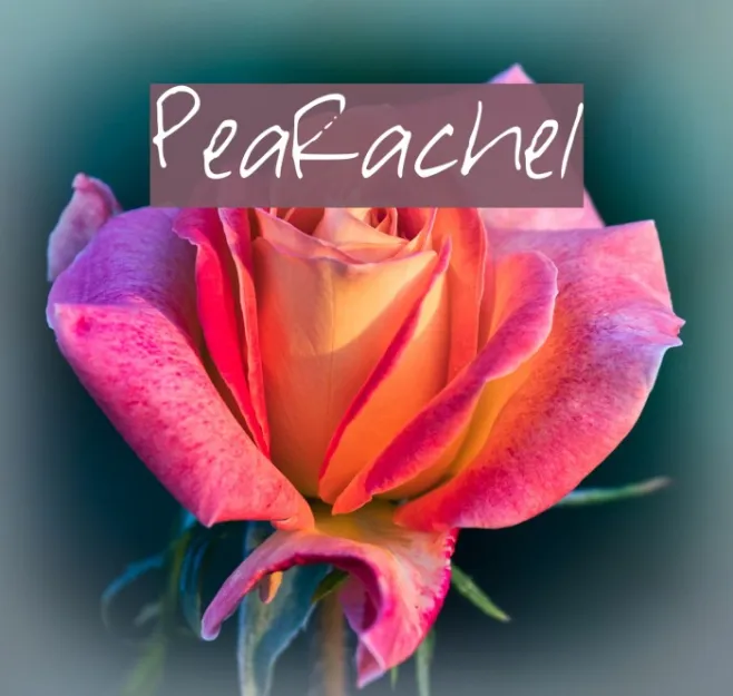 PeaRachel Example 2