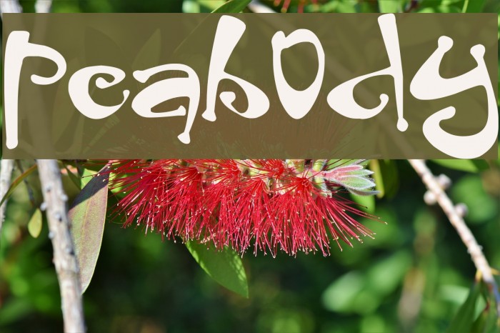 Peabody Font examples