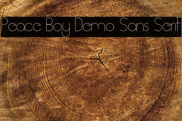 Peace Boy Demo Sans Serif Example 2