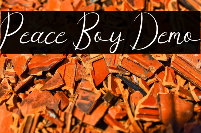 Peace Boy Demo Example 3