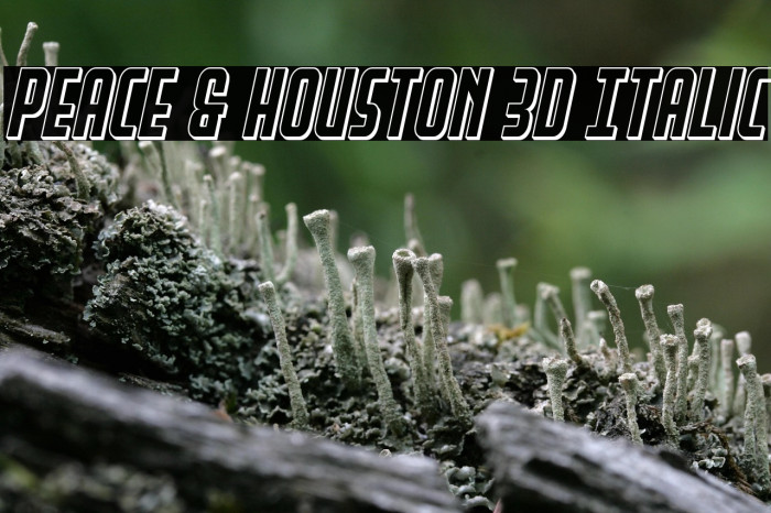 Peace & Houston 3D Italic Example 3