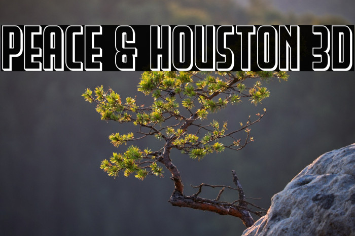 Peace & Houston 3D Example 1