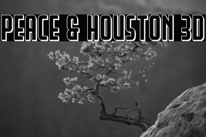 Peace & Houston 3D Font examples