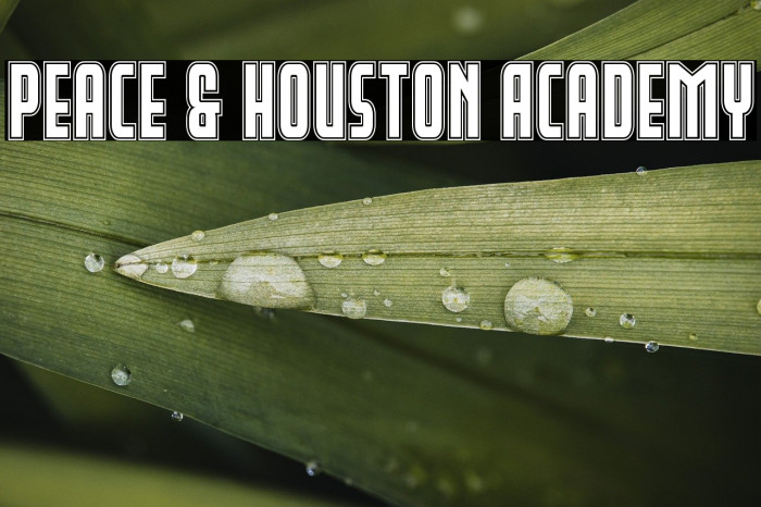 Peace & Houston Academy Example 1