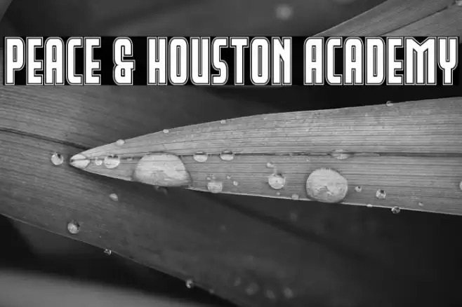 Peace & Houston Academy Font examples