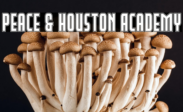 Peace & Houston Academy Example 2