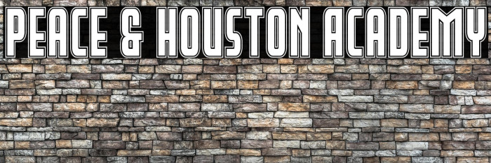 Peace & Houston Academy Example 3