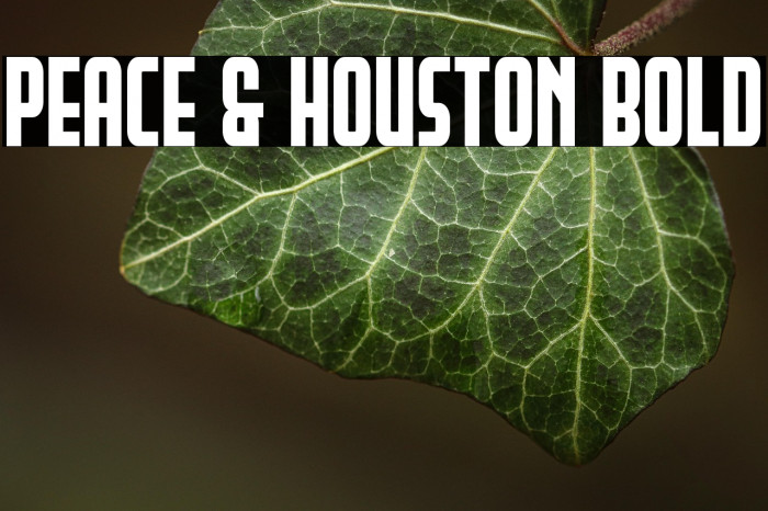 Peace & Houston Bold Example 2