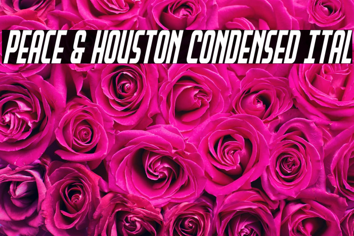Peace & Houston Condensed Ital Example 1