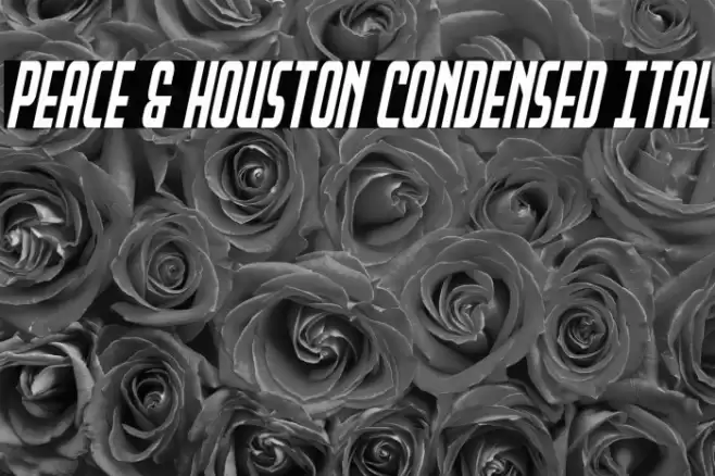 Peace & Houston Condensed Ital Font examples