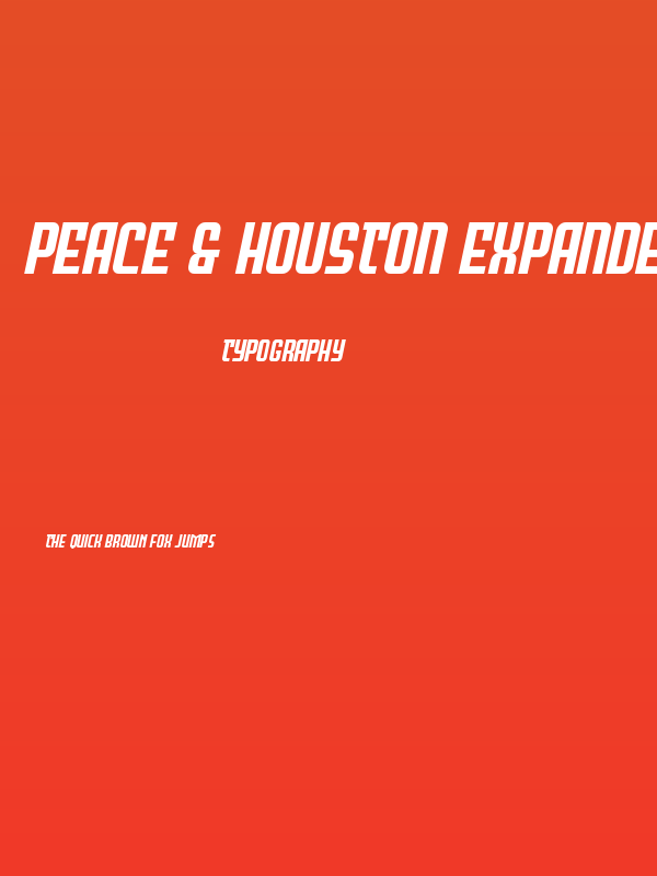 Peace & Houston Expanded Ital Poster