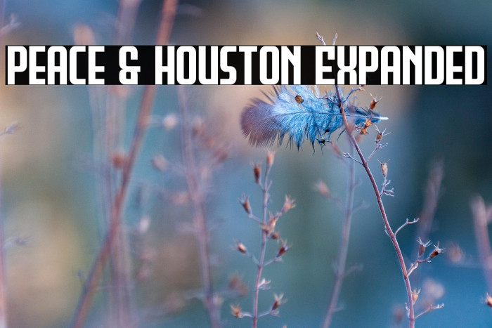 Peace & Houston Expanded Example 1