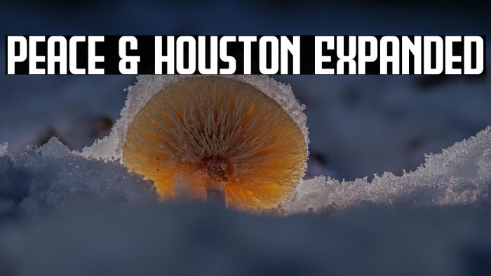 Peace & Houston Expanded Example 2