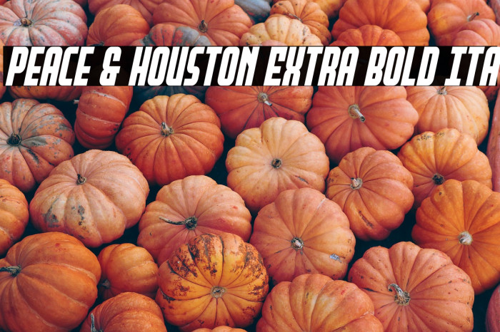 Peace & Houston Extra Bold Ita Example 1