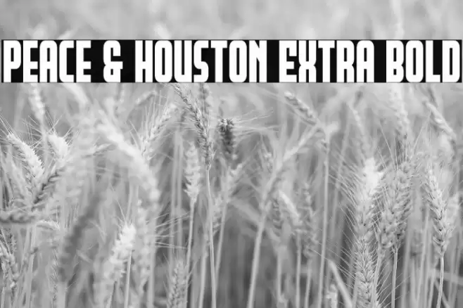 Peace & Houston Extra Bold Font examples