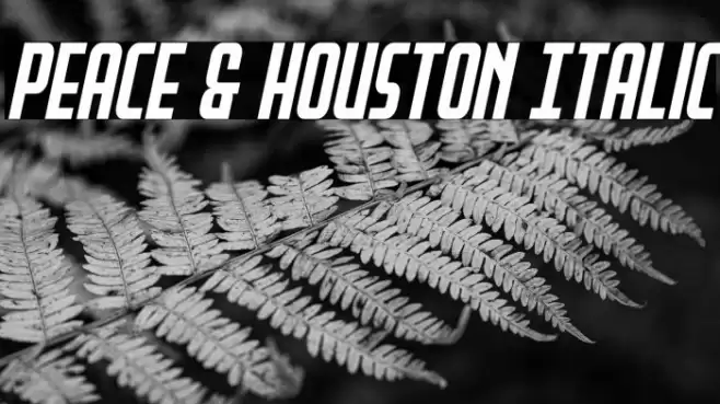Peace & Houston Italic Font examples