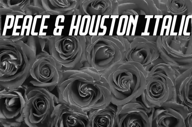 Peace & Houston Italic Font examples