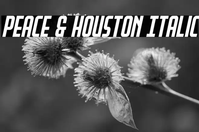 Peace & Houston Italic Font examples