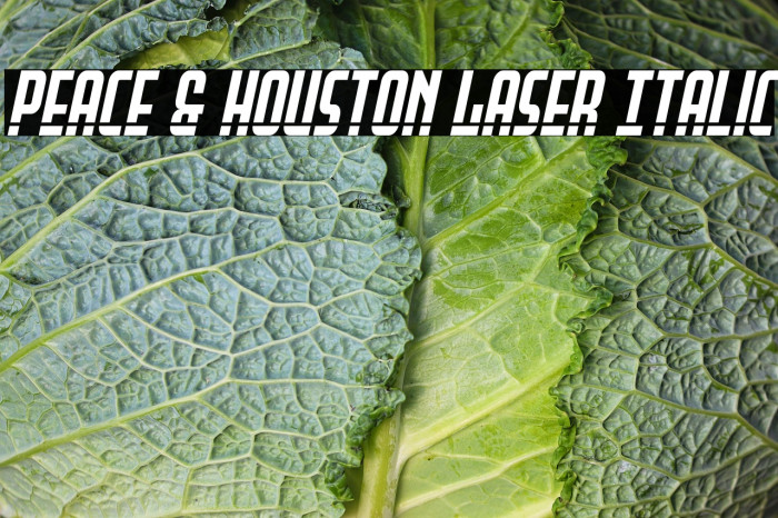 Peace & Houston Laser Italic Example 3