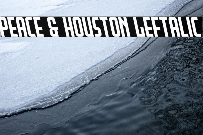 Peace & Houston Leftalic Example 1