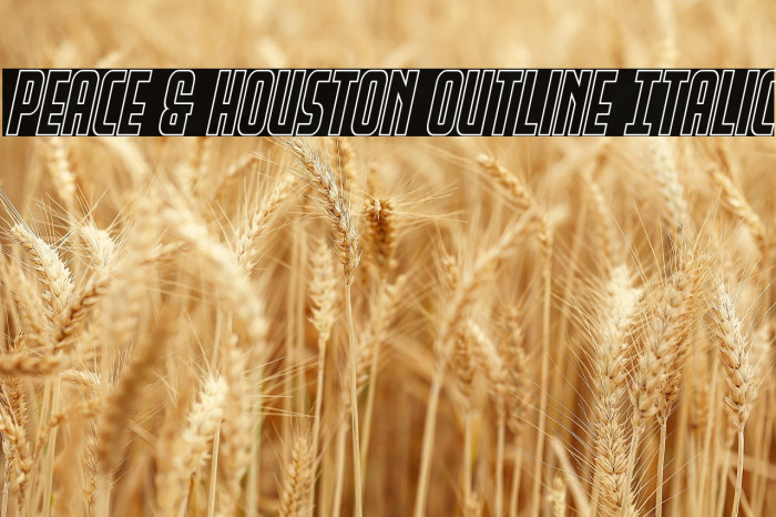 Peace & Houston Outline Italic Example 3