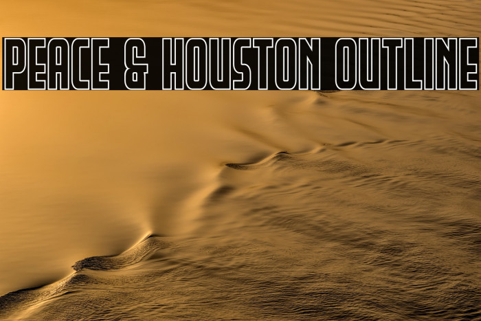 Peace & Houston Outline Example 1
