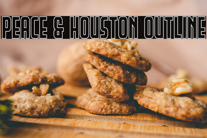 Peace & Houston Outline Example 3