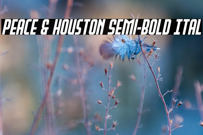 Peace & Houston Semi-Bold Ital Example 1