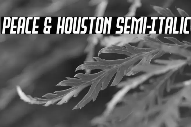 Peace & Houston Semi-Italic Font examples