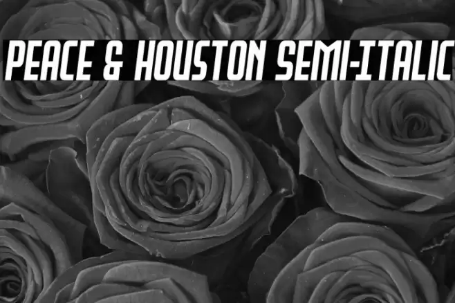 Peace & Houston Semi-Italic Font examples