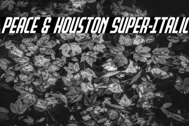 Peace & Houston Super-Italic Font examples